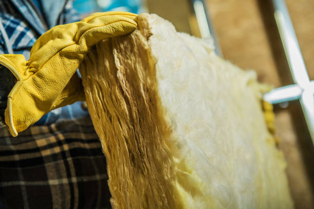 Best Eco-Friendly Insulation in Schuyler, NE