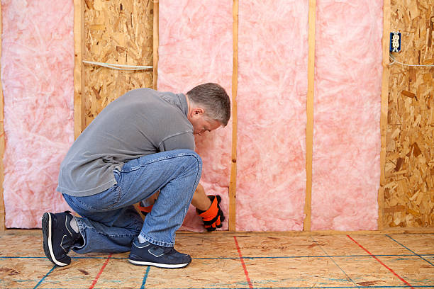 Best Spray Foam Insulation in Schuyler, NE