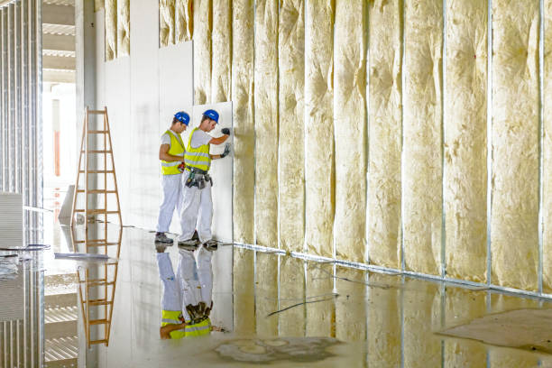 Best Geographic-Specific Insulation Services in Schuyler, NE